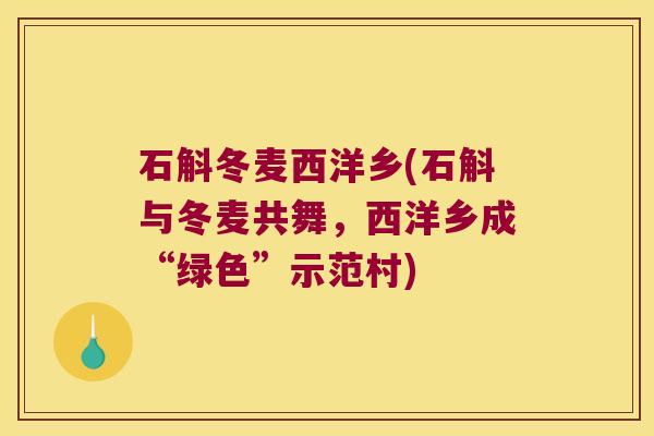 石斛冬麦西洋乡(石斛与冬麦共舞，西洋乡成“绿色”示范村)