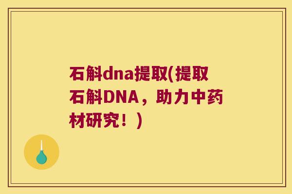 石斛dna提取(提取石斛DNA，助力中药材研究！)