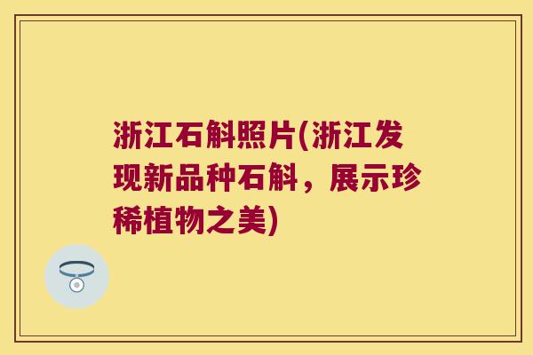 浙江石斛照片(浙江发现新品种石斛，展示珍稀植物之美)