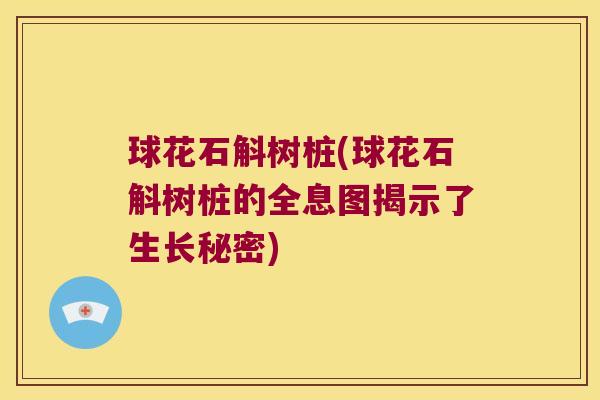球花石斛树桩(球花石斛树桩的全息图揭示了生长秘密)