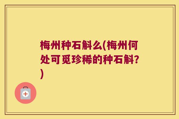 梅州种石斛么(梅州何处可觅珍稀的种石斛？)