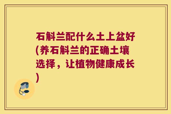 石斛兰配什么土上盆好(养石斛兰的正确土壤选择,让植物健康成长) 石斛兰配什么土上盆好(养石斛兰的正确土壤选择,让植物健康成长)