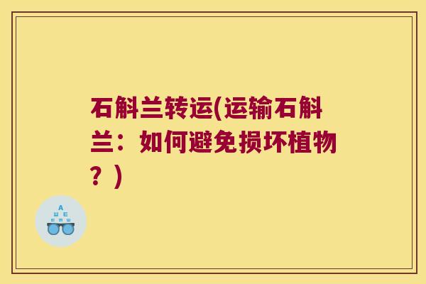 石斛兰转运(运输石斛兰：如何避免损坏植物？)