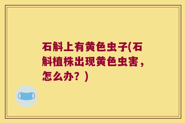 石斛上有黄色虫子(石斛植株出现黄色虫害，怎么办？)