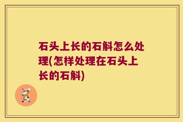石头上长的石斛怎么处理(怎样处理在石头上长的石斛)