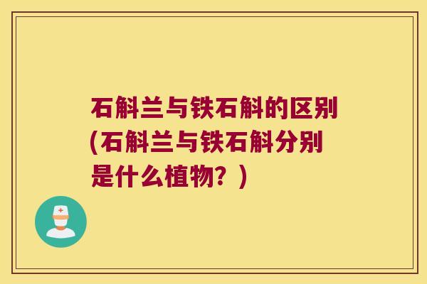 石斛兰与铁石斛的区别(石斛兰与铁石斛分别是什么植物？)