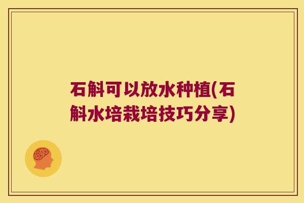 石斛可以放水种植(石斛水培栽培技巧分享)