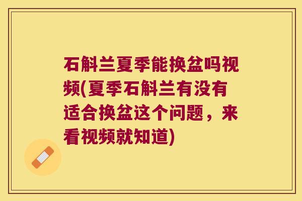 石斛兰夏季能换盆吗视频(夏季石斛兰有没有适合换盆这个问题，来看视频就知道)