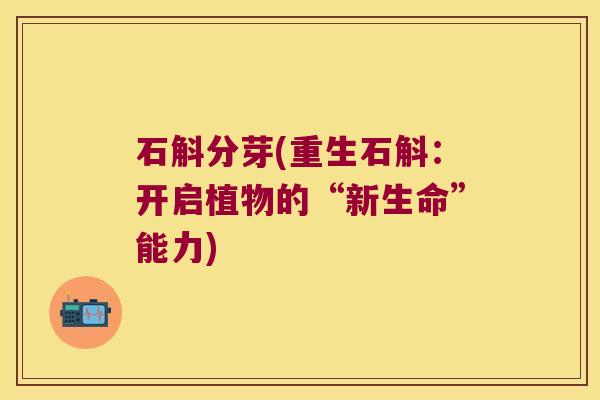 石斛分芽(重生石斛：开启植物的“新生命”能力)