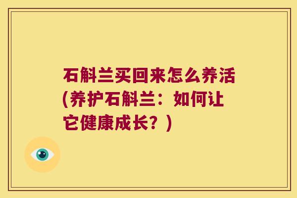 石斛兰买回来怎么养活(养护石斛兰：如何让它健康成长？)