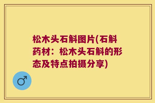 松木头石斛图片(石斛药材：松木头石斛的形态及特点拍摄分享)
