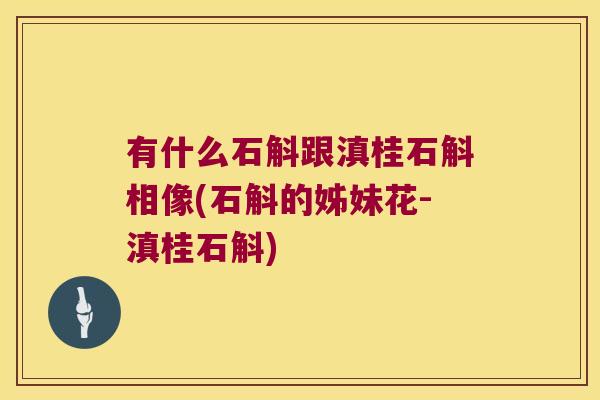 有什么石斛跟滇桂石斛相像(石斛的姊妹花-滇桂石斛)