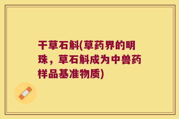 干草石斛(草药界的明珠，草石斛成为中兽药样品基准物质)