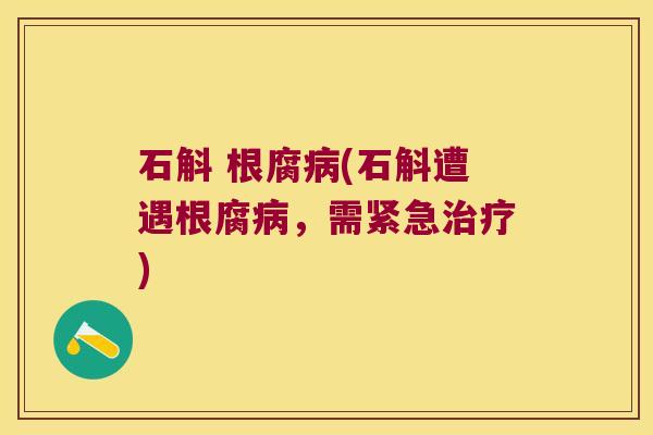 石斛 根腐病(石斛遭遇根腐病，需紧急治疗)