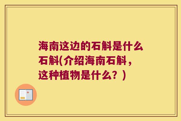 海南这边的石斛是什么石斛(介绍海南石斛，这种植物是什么？)