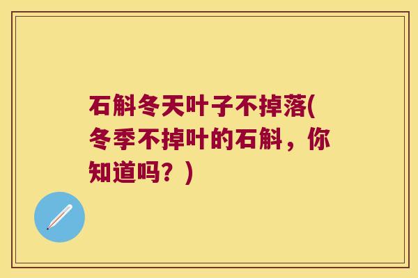 石斛冬天叶子不掉落(冬季不掉叶的石斛，你知道吗？)