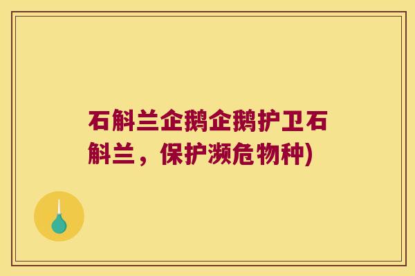 石斛兰企鹅企鹅护卫石斛兰，保护濒危物种)