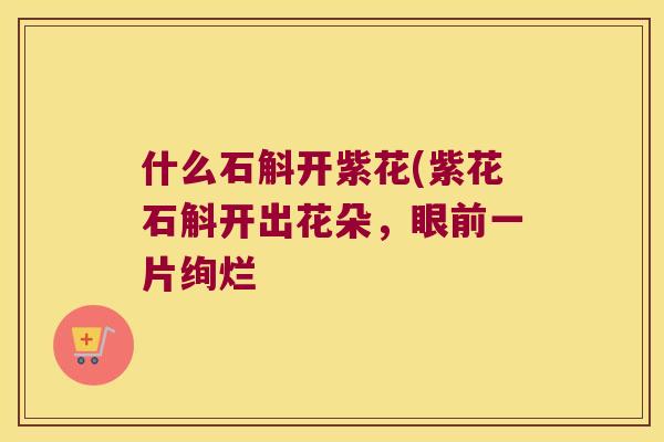 什么石斛开紫花(紫花石斛开出花朵，眼前一片绚烂