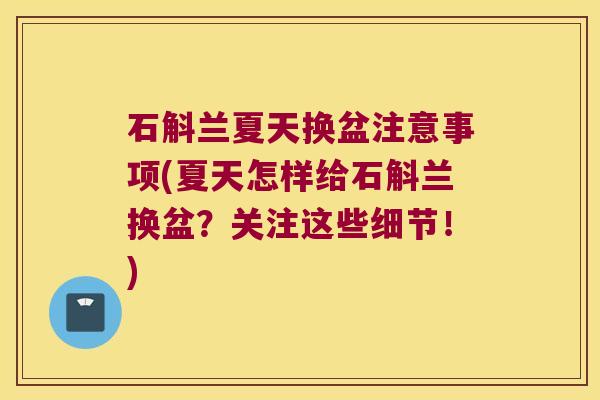 石斛兰夏天换盆注意事项(夏天怎样给石斛兰换盆？关注这些细节！)