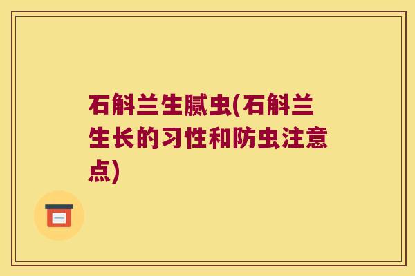 石斛兰生腻虫(石斛兰生长的习性和防虫注意点)