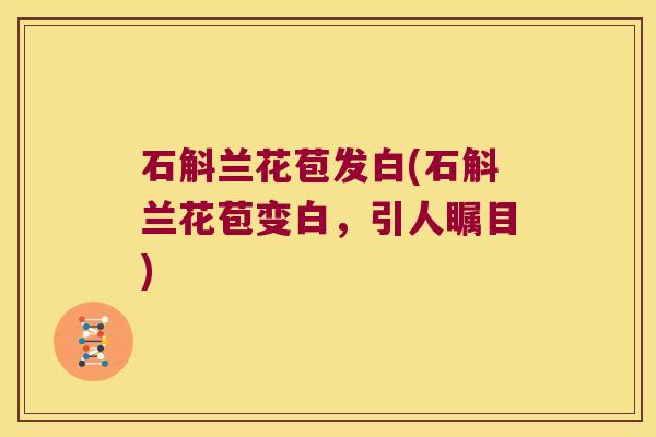 石斛兰花苞发白(石斛兰花苞变白,引人瞩目) 石斛兰花苞发白(石斛兰花苞变白,引人瞩目)