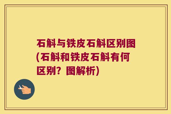 石斛与铁皮石斛区别图(石斛和铁皮石斛有何区别？图解析)