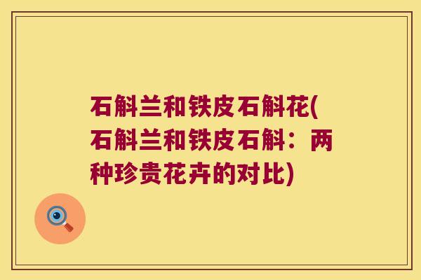 石斛兰和铁皮石斛花(石斛兰和铁皮石斛：两种珍贵花卉的对比)