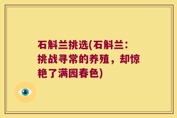 石斛兰挑选(石斛兰：挑战寻常的养殖，却惊艳了满园春色)