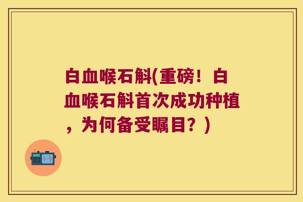 白血喉石斛(重磅！白血喉石斛首次成功种植，为何备受瞩目？)