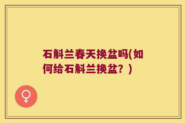 石斛兰春天换盆吗(如何给石斛兰换盆？)