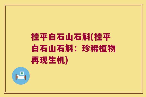 桂平白石山石斛(桂平白石山石斛：珍稀植物再现生机)