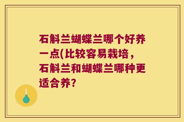 石斛兰蝴蝶兰哪个好养一点(比较容易栽培,石斛兰和蝴蝶兰哪种更适合养? 石斛兰蝴蝶兰哪个好养一点(比较容易栽培,石斛兰和蝴蝶兰哪种更适合养?