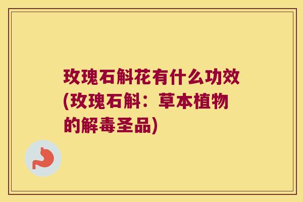 玫瑰石斛花有什么功效(玫瑰石斛：草本植物的解毒圣品)