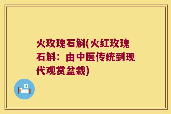 火玫瑰石斛(火红玫瑰石斛：由中医传统到现代观赏盆栽)