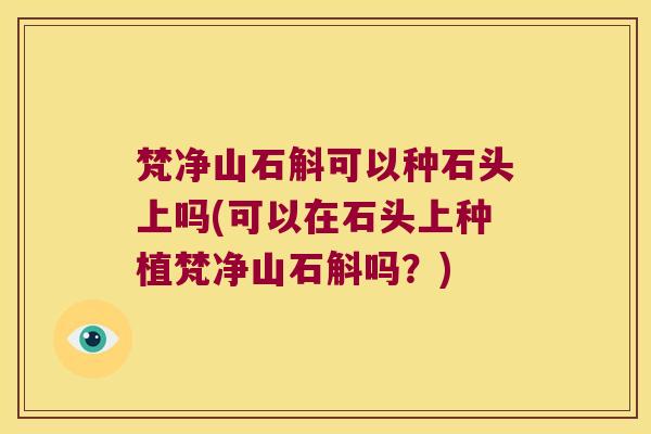 梵净山石斛可以种石头上吗(可以在石头上种植梵净山石斛吗？)