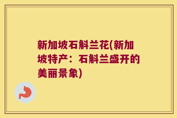 新加坡石斛兰花(新加坡特产：石斛兰盛开的美丽景象)