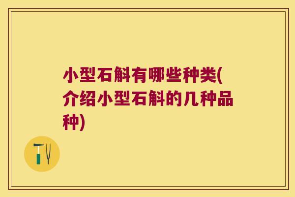 小型石斛有哪些种类(介绍小型石斛的几种品种)