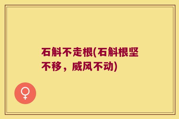 石斛不走根(石斛根坚不移，威风不动)