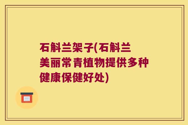 石斛兰架子(石斛兰 美丽常青植物提供多种健康保健好处)