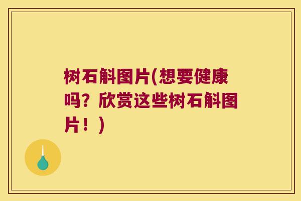 树石斛图片(想要健康吗？欣赏这些树石斛图片！)