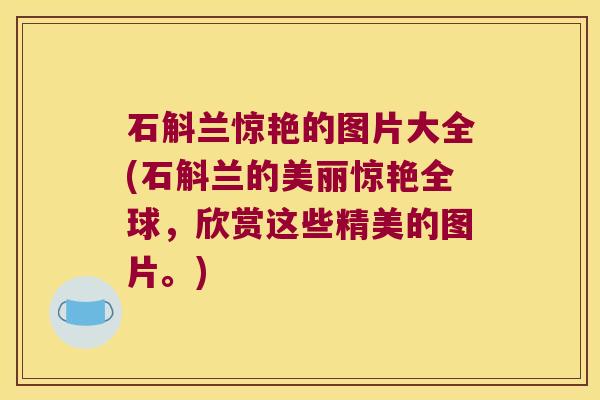 石斛兰惊艳的图片大全(石斛兰的美丽惊艳全球，欣赏这些精美的图片。)