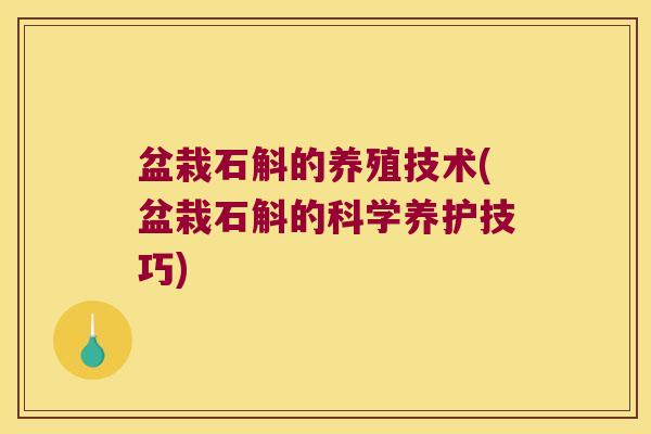 盆栽石斛的养殖技术(盆栽石斛的科学养护技巧)