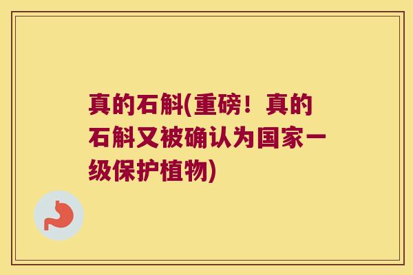 真的石斛(重磅！真的石斛又被确认为国家一级保护植物)