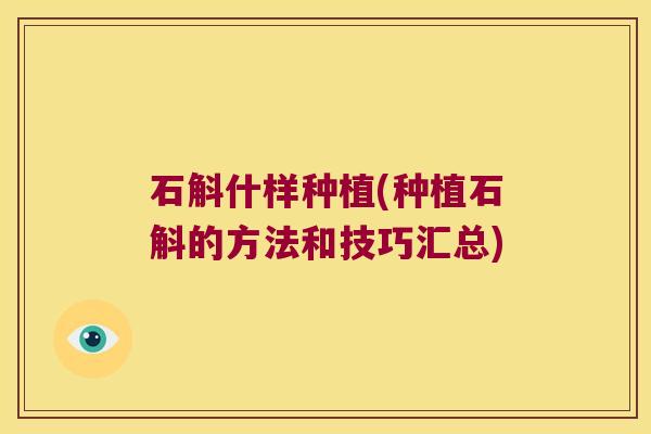 石斛什样种植(种植石斛的方法和技巧汇总)