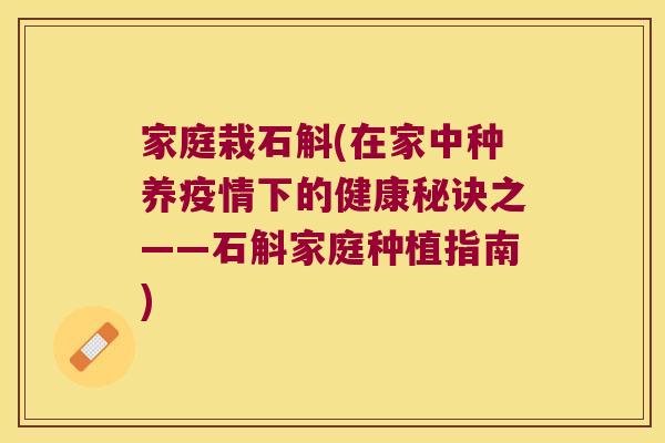 家庭栽石斛(在家中种养疫情下的健康秘诀之——石斛家庭种植指南)