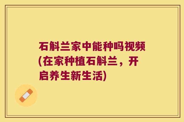 石斛兰家中能种吗视频(在家种植石斛兰，开启养生新生活)