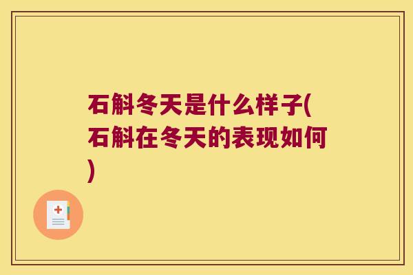 石斛冬天是什么样子(石斛在冬天的表现如何)