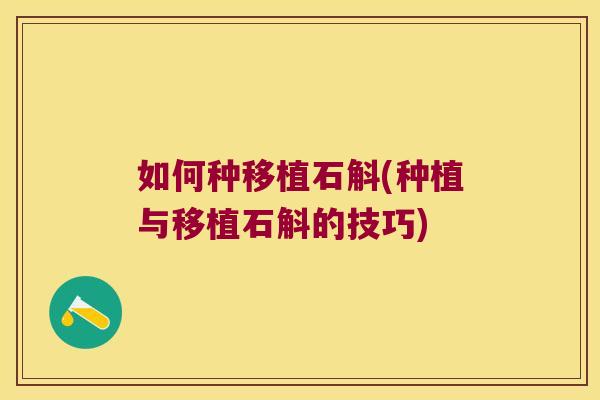 如何种移植石斛(种植与移植石斛的技巧)