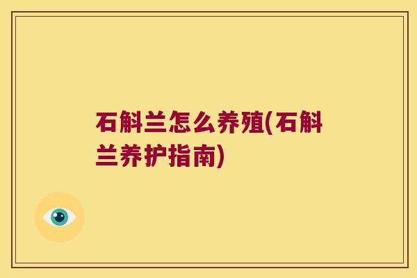 石斛兰怎么养殖(石斛兰养护指南)