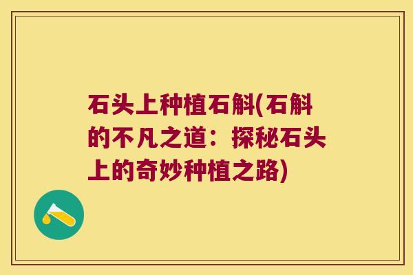 石头上种植石斛(石斛的不凡之道：探秘石头上的奇妙种植之路)